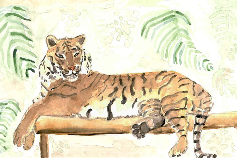 watercolor illustration tiger print