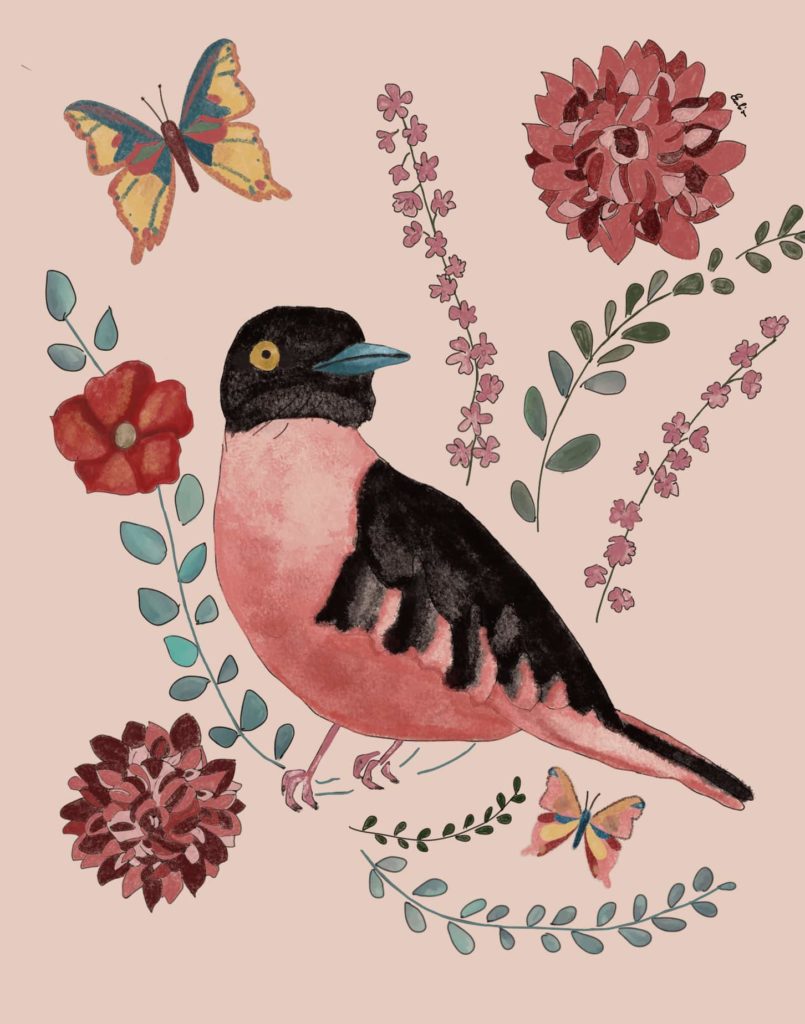 Bird Illustration